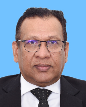 Mr. S.N. Balapatabedi